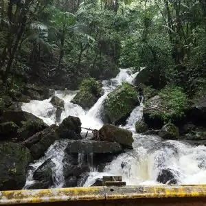 19050604_376711576057940_8049519533116882944_n