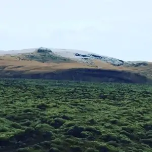 43915426_2239690379640057_8332146390899088621_n