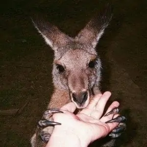 18950430_1941773559413191_7843768746844880896_n