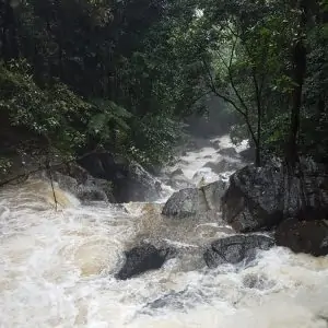 19050947_1979205222314179_5105290245931270144_n